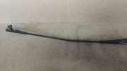 Zierleiste Windschutzscheibe Frontscheibe FORD FOCUS II Cabrio 2.0 TDCi