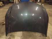 Motorhaube OPEL INSIGNIA A Estate (G09) 2.0 CDTI (35)