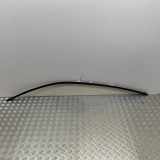 Dachleiste links BMW 4 Gran Coupe (F36) 418 d 7332537