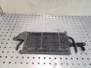 Kraftstoffkühler Peugeot 4007 () 9662633080