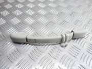 Griff Panoramadach Peugeot 307 SW () 9616355277