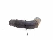 Schlauch für Luftversorgung Lexus IS 2 (E2) 1734326030