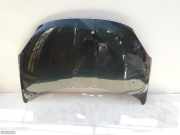 Motorhaube Fiat 500X (334)