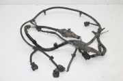 Kabelbaum Kia Sorento II (XM) 918922P080
