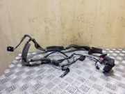 Kabel Tür Ford Focus IV (HN) DM5T14K138