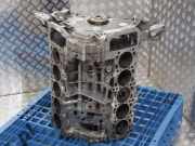 Motor ohne Anbauteile (Diesel) VW Touareg I (7L) AYH