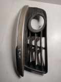 Gitter vorne unten VW JETTA III (1K2) 2.0 TDI 16V 1K0853665H9B9