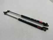 Gasfeder für Motorhaube Lexus RX 2 (U3)