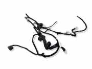 Kabel der vorderen linken Tür NISSAN X-TRAIL (T31) 2.0 24124JG42A