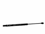 Heckklappe Gasdruckfeder links FIAT IDEA (350_) 1.3 D Multijet 6830389UM22DE03 0333SV0480N