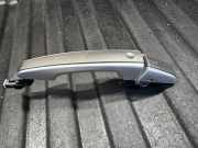 Türaußengriff vorne links