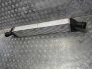 Ladeluftkühler Audi A5 (F53) 2020W38