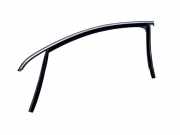 Türgummi links vorne VW Passat B7 Alltrack (36, B7) 3C4837431F