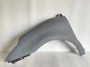 Kotflügel vorne links