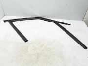 Fensterleiste Tür vorne rechts RENAULT SCÉNIC IV (J9_) 1.6 dCi 130 803308487R