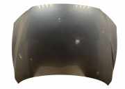 Motorhaube AUDI Q7 (4L) 3.0 TDI quattro