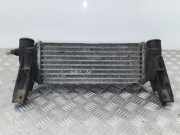 Ladeluftkühler Ford Transit Connect Großraumlimousine () 2T1Q9L440AB