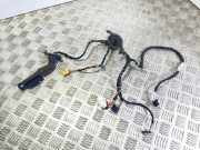 Türverkabelung hinten rechts VW PASSAT B7 ALLTRACK (365) 2.0 TDI 3G0971694AF