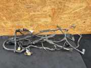 Motor Kabelbaum AUDI Q4 SUV (F4B) 50 e-tron quattro 1EA971230F