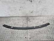 Zierleiste Windschutzscheibe Frontscheibe AUDI A3 (8P1) 1.9 TDI 8P7845389A