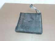 A/C Matrix Heater NISSAN MURANO II (Z51) 3.5 4x4