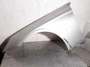 Kotflügel vorne links