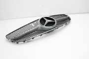 Gitter MERCEDES-BENZ E Coupe (C207) E 220 CDI / d (207.302) A2078802483