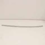 Dachleiste links BMW X4 (F26) xDrive 20 d 7360177