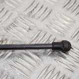 Heckklappe Gasdruckfeder rechts AUDI A3 Cabrio (8V7, 8VE) 1.6 TDI 8V7827552A