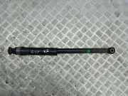 Stoßdämpfer hinten links NISSAN JUKE (F16) 1.0