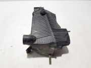 Luftfiltergehäuse Renault Kangoo II - Grand Kangoo (KW0) 165003318R