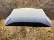 Motorhaube Fiat Ducato Kasten (250)