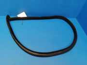 Türgummi links vorne Mercedes-Benz CLS (C219) A2196970151