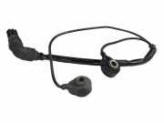 Klopfsensor BMW X5 (E53) 4.8 is 1709317