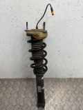Stoßdämpfer hinten links PORSCHE 911 Targa (991) 3.4 Carrera 4 99133305715