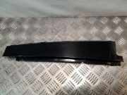 Vertikale Verkleidung an der hinteren rechten Tür MERCEDES-BENZ S (W221) S 320 CDI (221.022, 221.122) A2216902087