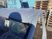 Dach AUDI Q4 SUV (F4B) 40 e-tron