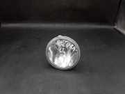 Nebelscheinwerfer links vorne Opel Antara (L07) A047813