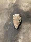 Differenzialgetriebe hinten MERCEDES-BENZ C (W203) C 220 CDI (203.006) A2103507062 2103507062
