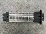 Elektrischer Schulterschulterkühler PEUGEOT PARTNER Furgon 1.6 BlueHDi 100 A52103100