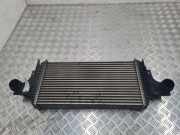 Ladeluftkühler MERCEDES-BENZ M (W164) ML 350 CDI 4-matic (164.125)