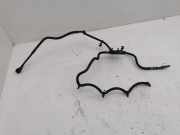 Kraftstoffleitung Ford C-Max II (DXA)