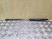 Heckklappe Gasdruckfeder links CITROËN C4 II (B7) 1.6 VTi 120 9647295480