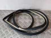 Türdichtung Infiniti EX (J50)