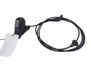 Griff Klappenzug Ford S-Max II (CJ, WA6)