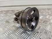 Servopumpe Hyundai Santa Fe II (CM)