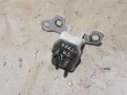 Türscharnier hinten links Renault Zoe (BFM) 824014370R