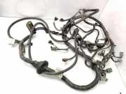 Motor Kabelbaum NISSAN ALMERA TINO (V10) 1.8 24011BU801