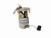Kraftstoffpumpe Citroen C5 III (RD)