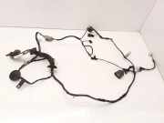 Türverkabelung hinten links JAGUAR XJ (X350) 2,7 D 5W9314027 5W9314027SBE